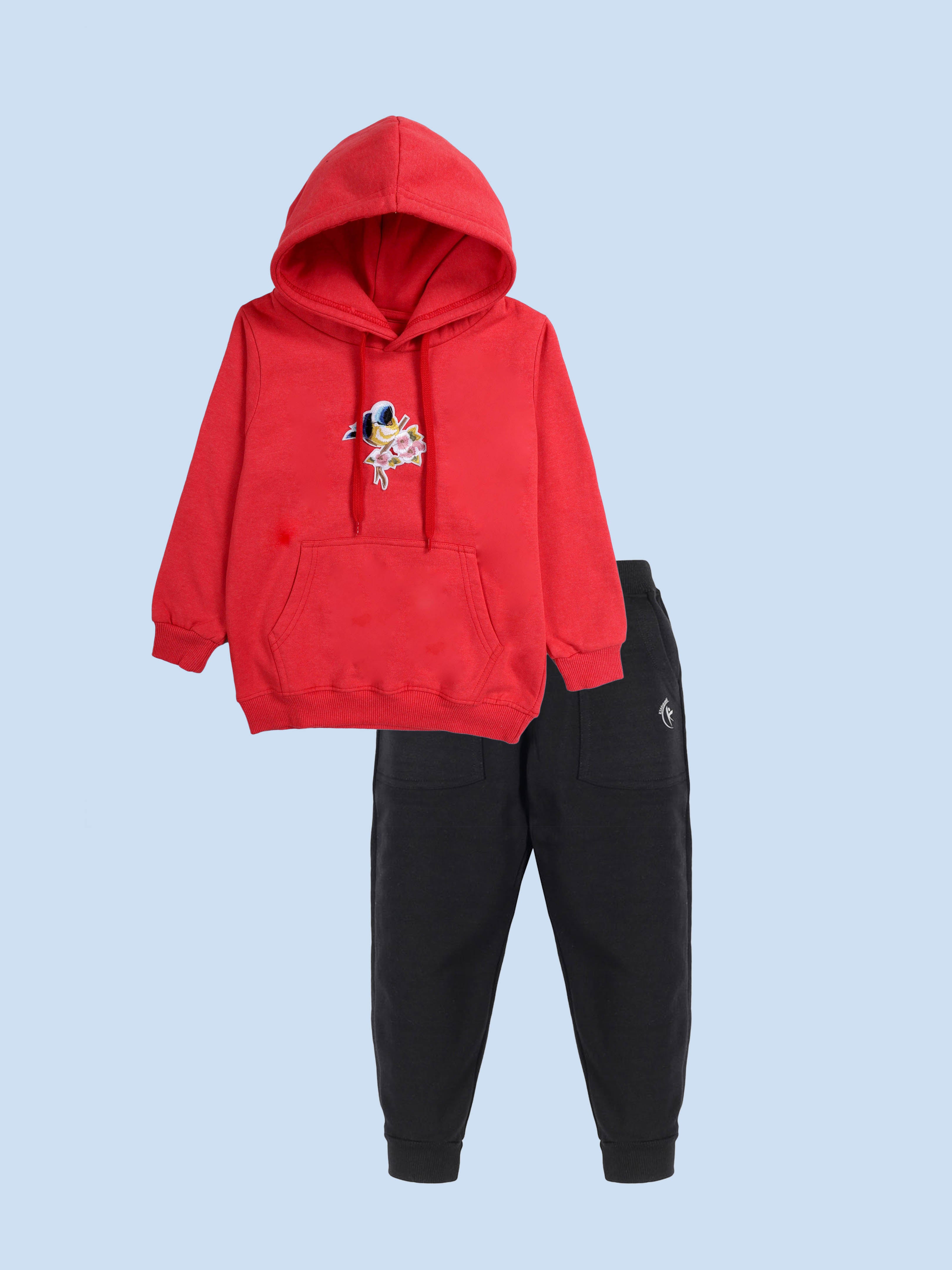 Kiddopanti Girls Fleece Full Sleeves Pullover Hooded Sweatshirt with Applique And Solid Track Pant Set