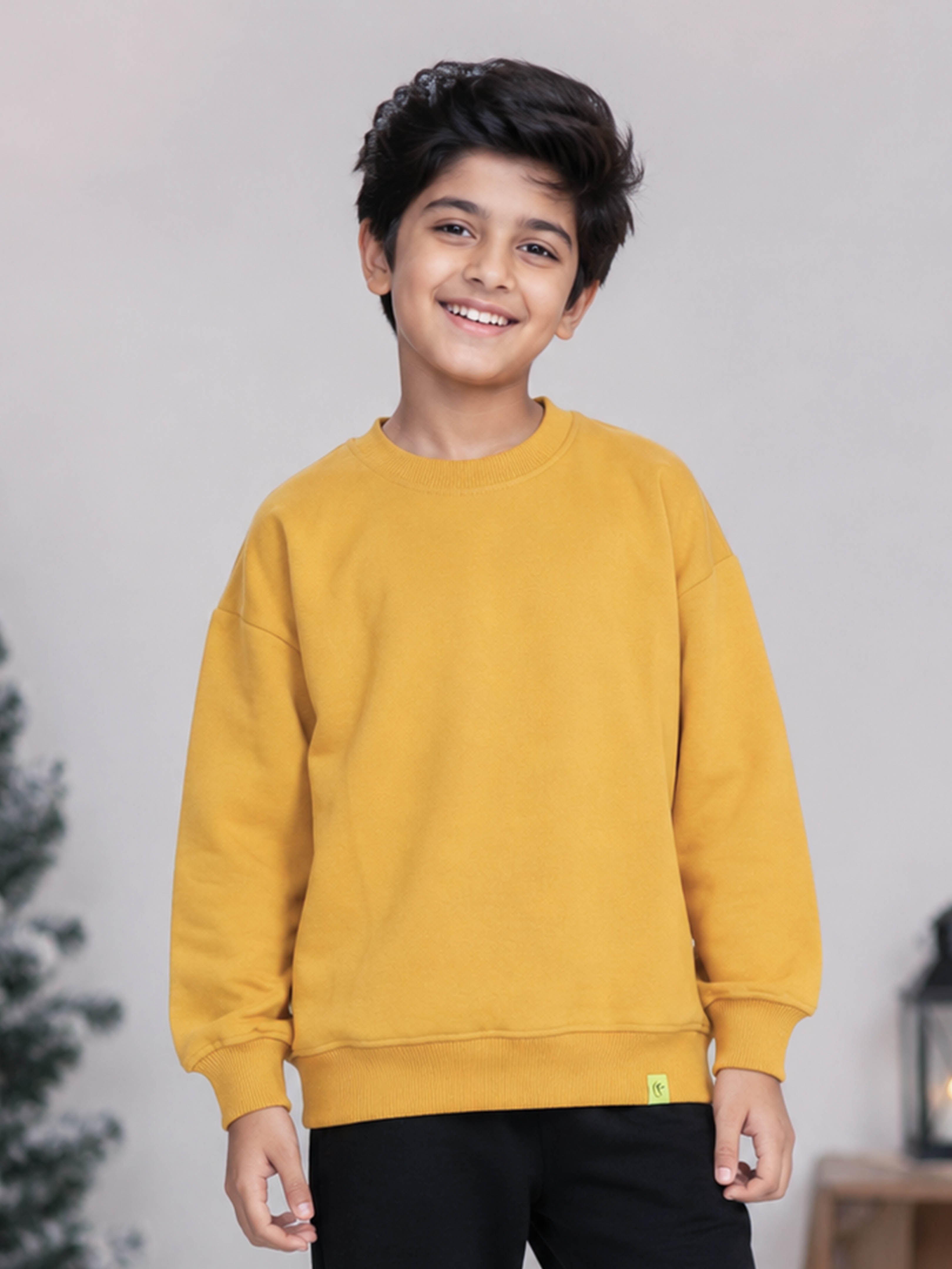 Kiddopanti Boys Solid Fleece Round Neck Full Sleeve Sweatshirt