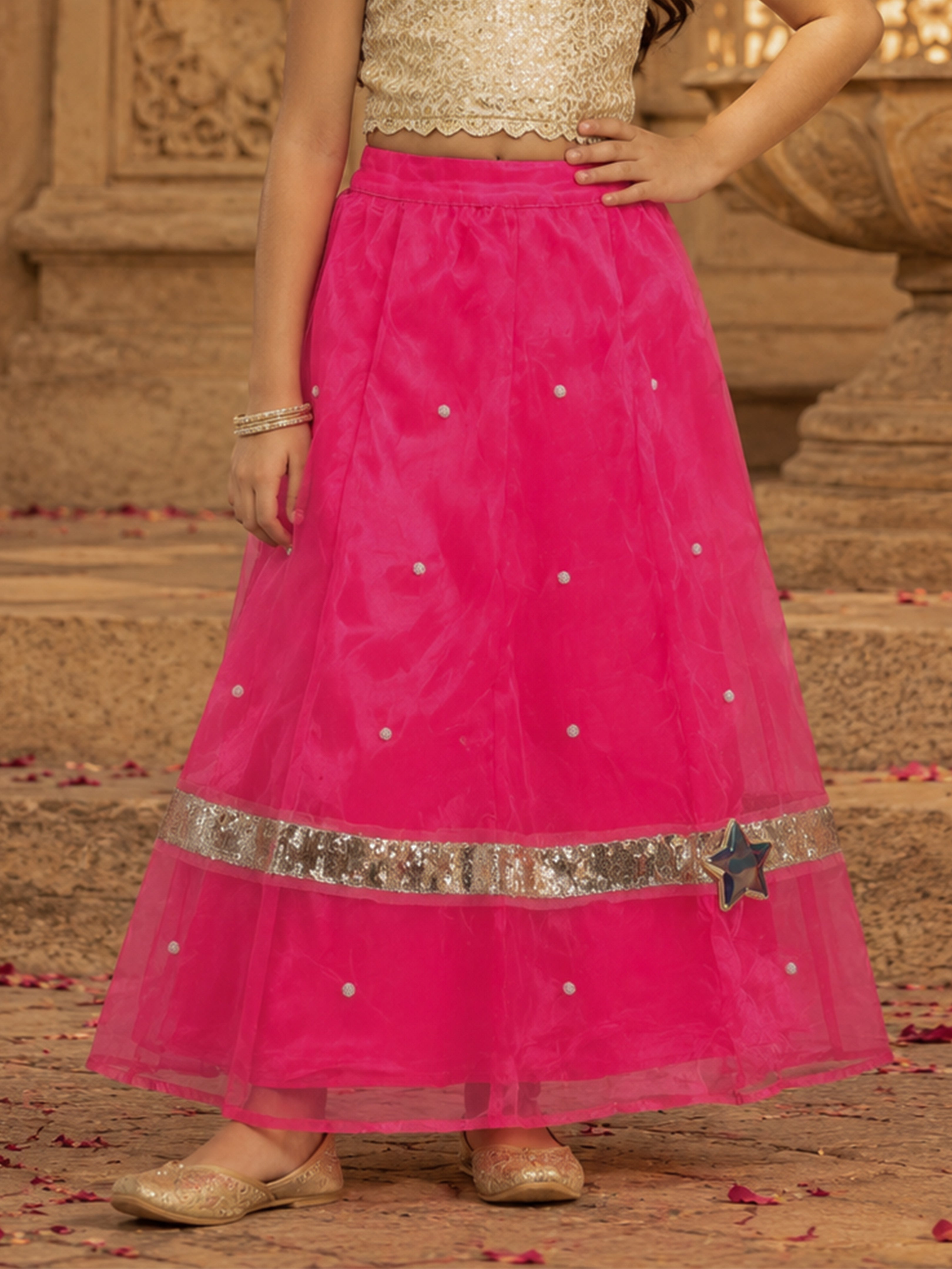 Kiddopanti Girls Polyester Woven Layered Organza Printed With Appliques Flared Skirt