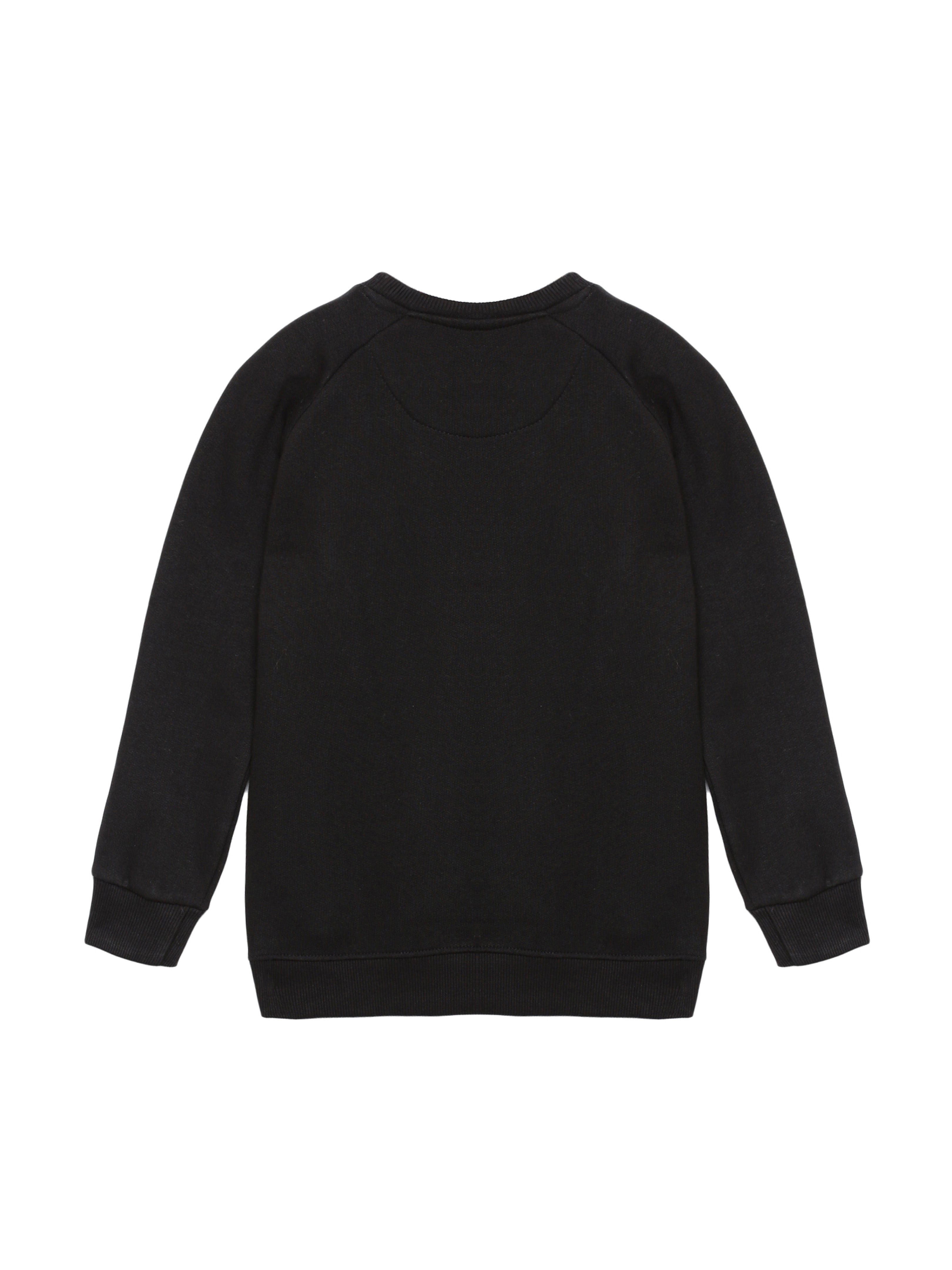 Girls Round Neck Sweatshirt With Applique
