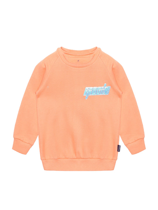 Girls Round Neck Sweatshirt With Applique