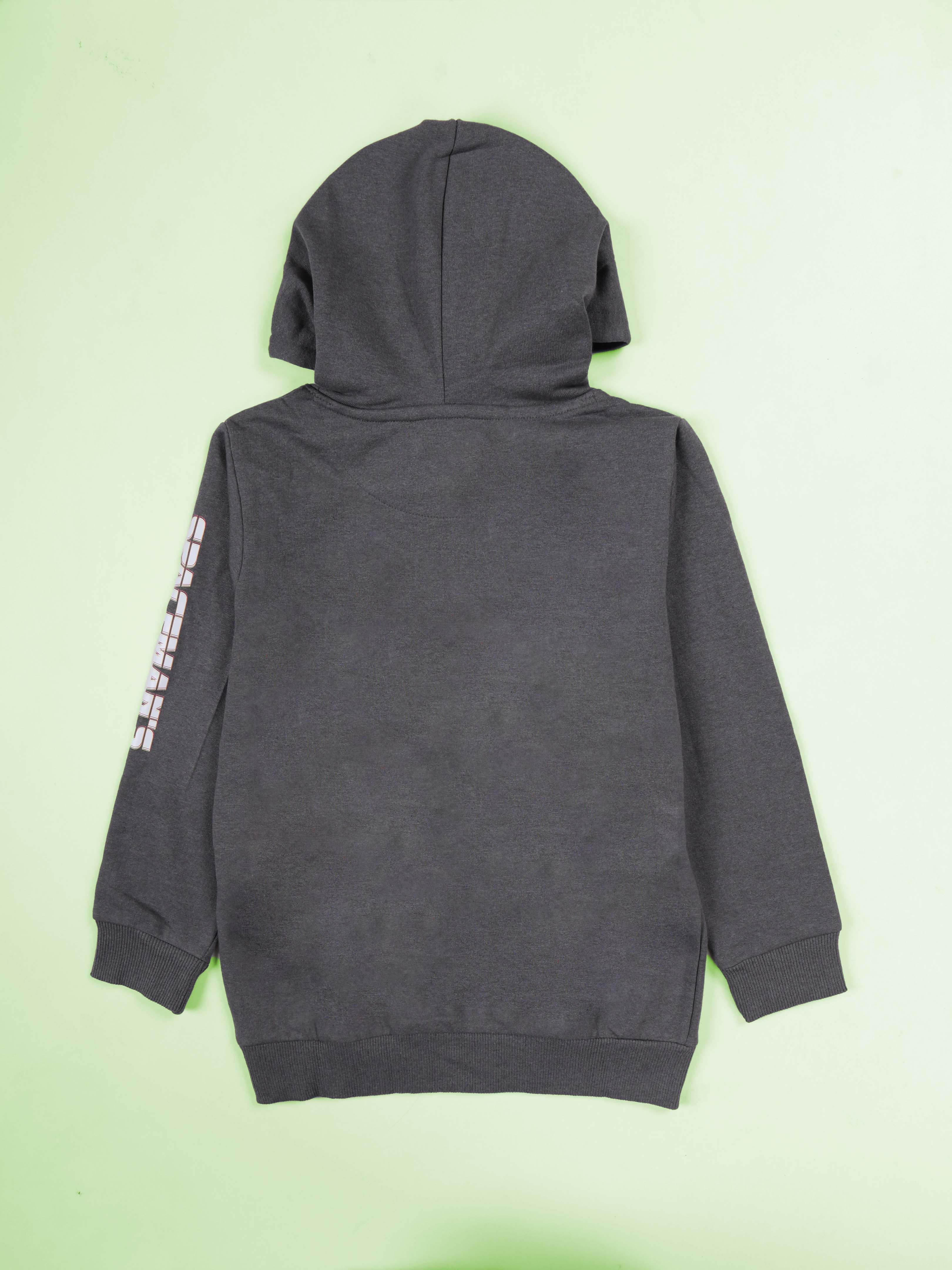 Kiddopanti Boys Printed Fleece Pullover Hoodie Sweatshirt Pack of 2