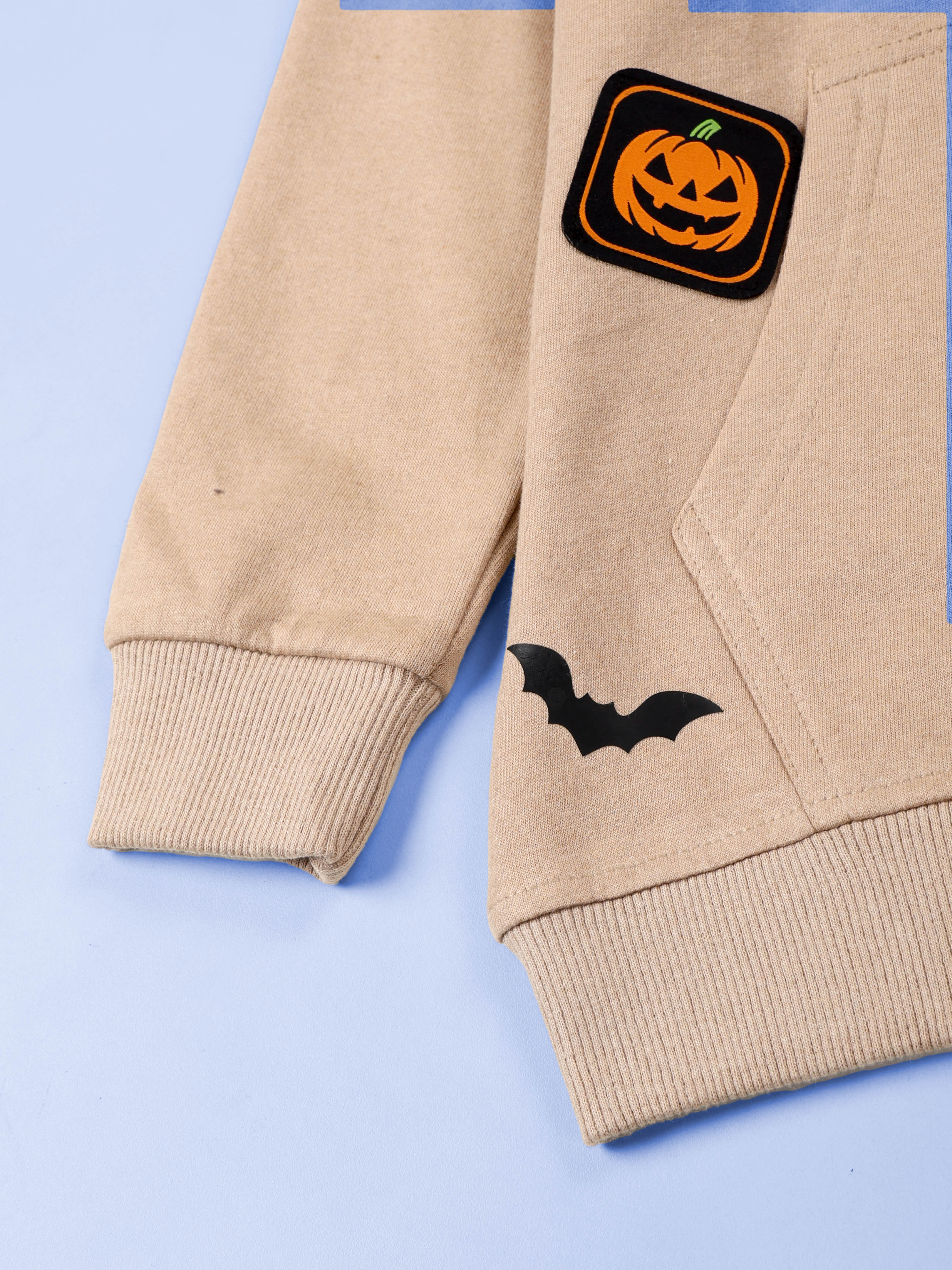 Kiddopanti Boys Printed Fleece Pullover Hoodie Sweatshirt Pack of 2