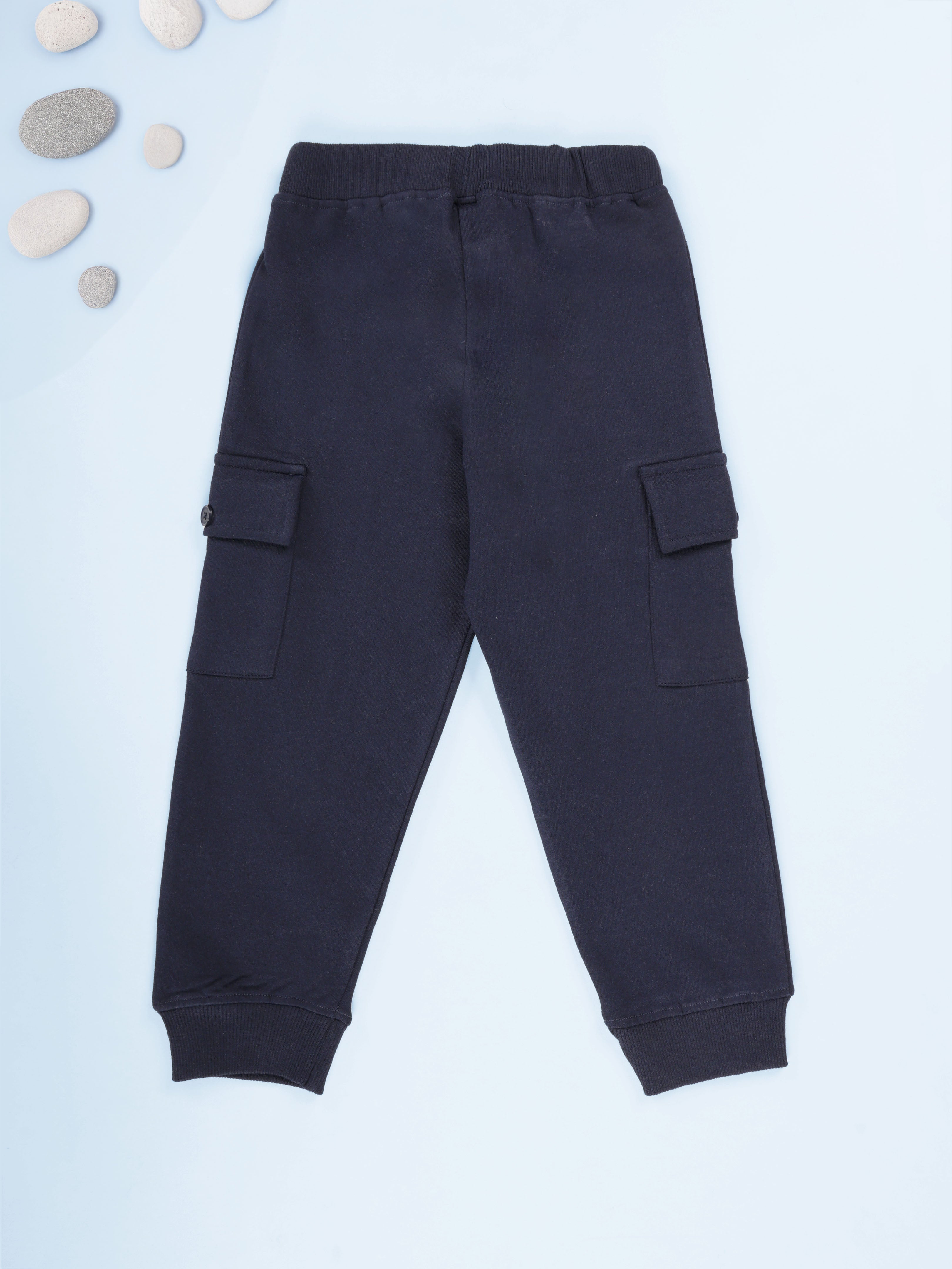 Kiddopanti Boys Tiger Roar Printed Full Sleeve Round Neck Tee & Knit Cargo Jogger Pants Coorde Set