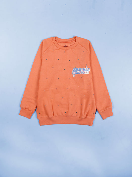 Girls Cotton Fleece Full Sleeves Sweatshirt With Applique And Rhinestones