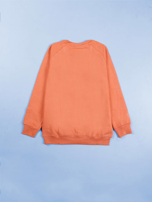 Girls Cotton Fleece Full Sleeves Sweatshirt With Applique And Rhinestones