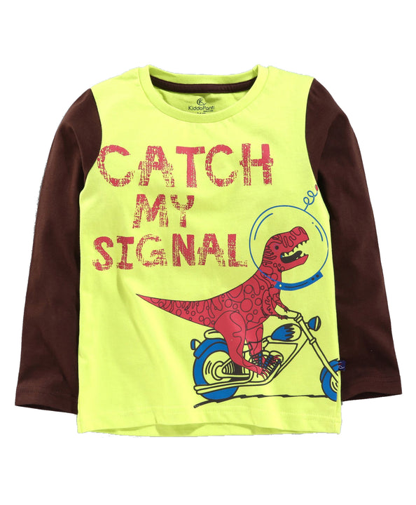 Boys Full Sleeve Printed Tee